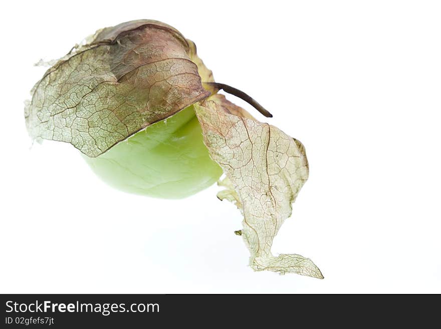 A tomatillo with its husk open isolated agaonst a white background. A tomatillo with its husk open isolated agaonst a white background