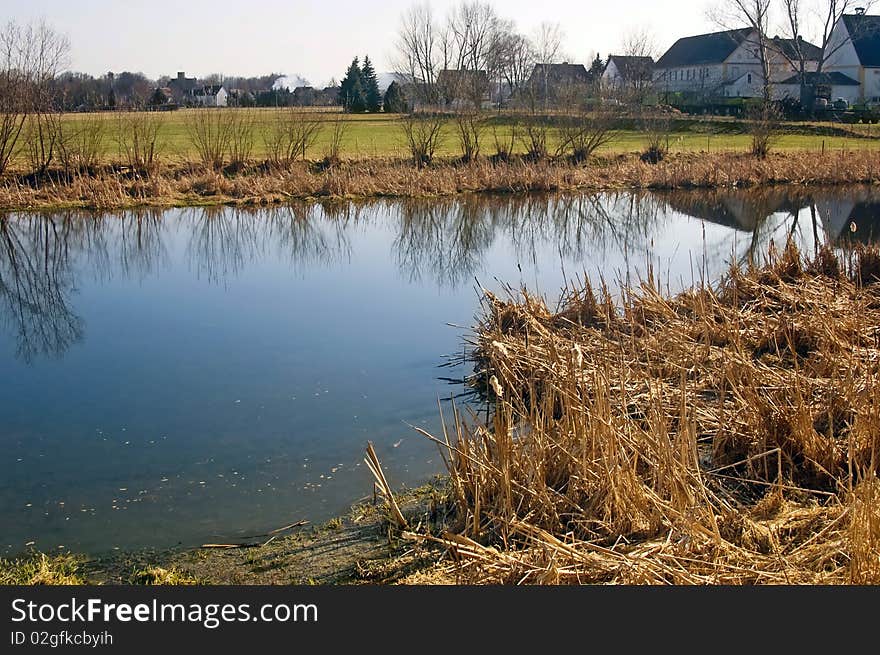 Quiet pond