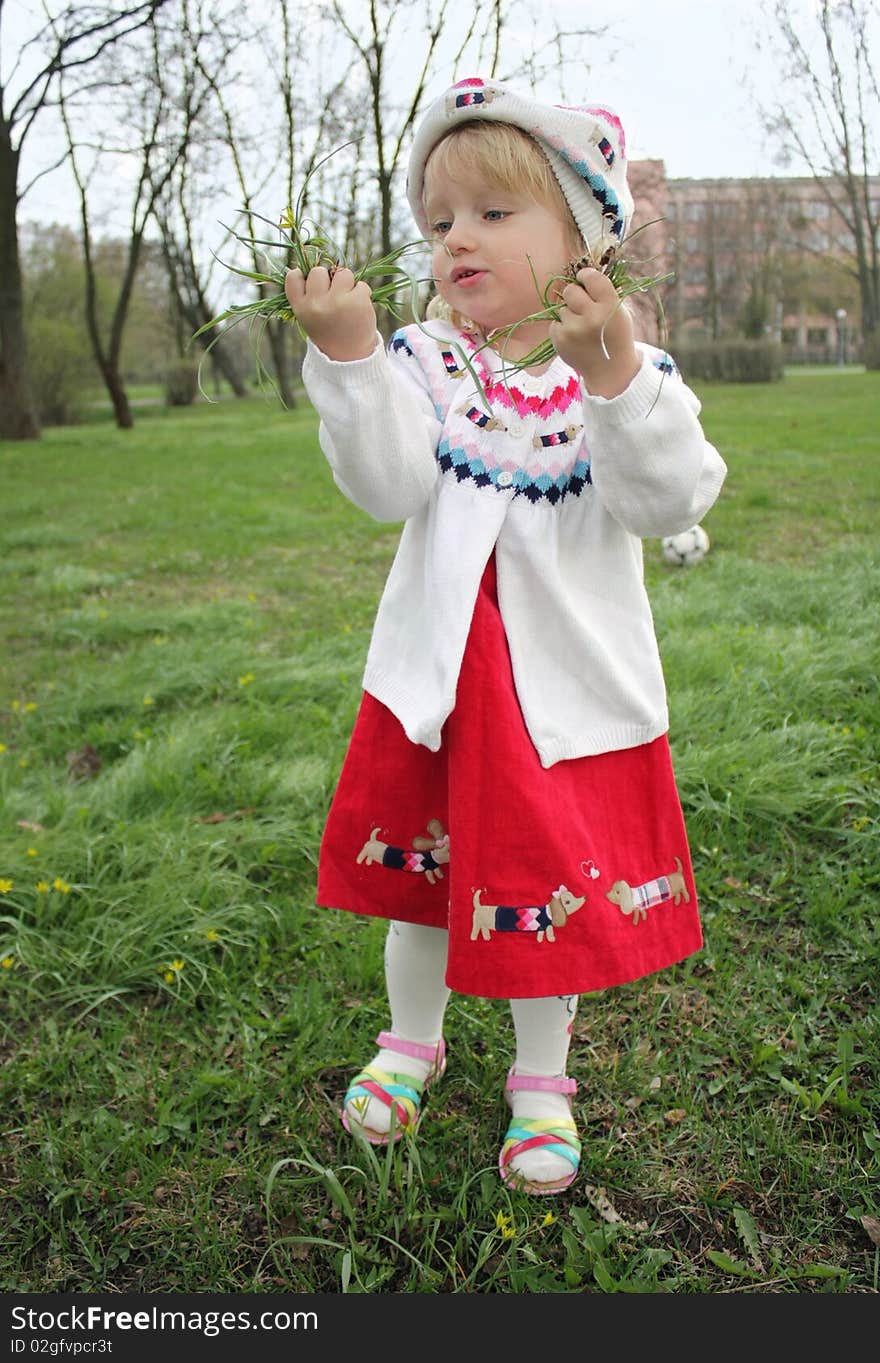 Little girl is considering the first spring flowers a walk. Little girl is considering the first spring flowers a walk
