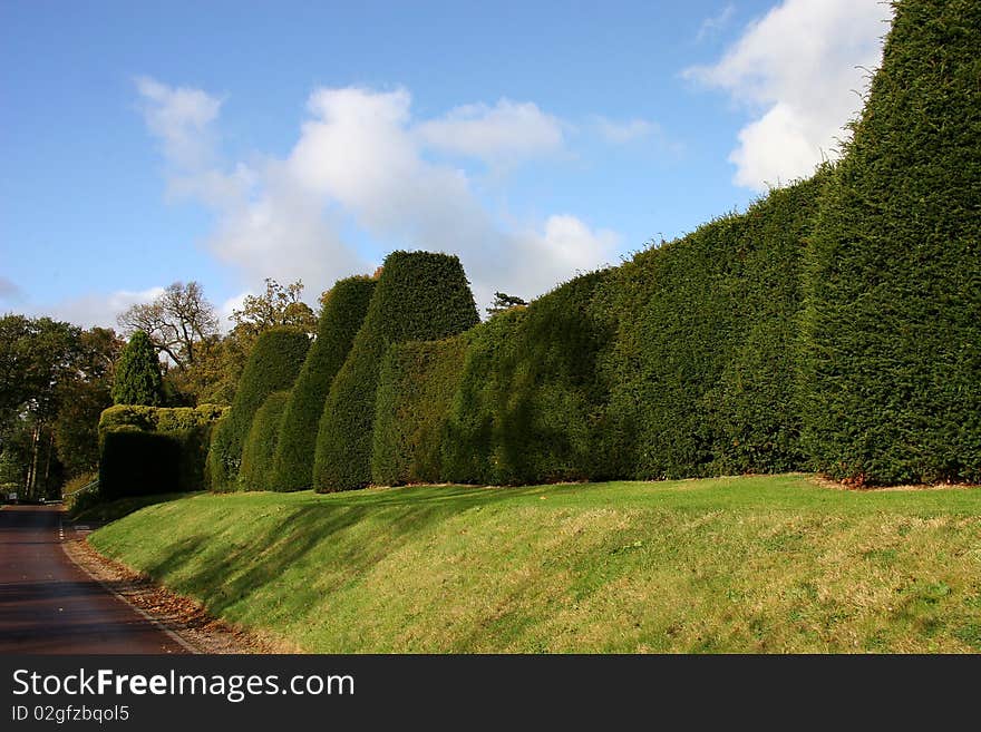 Sculptured hedgerow