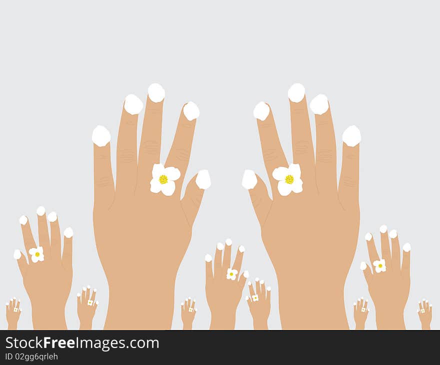 Woman hands with white jasmine. Woman hands with white jasmine