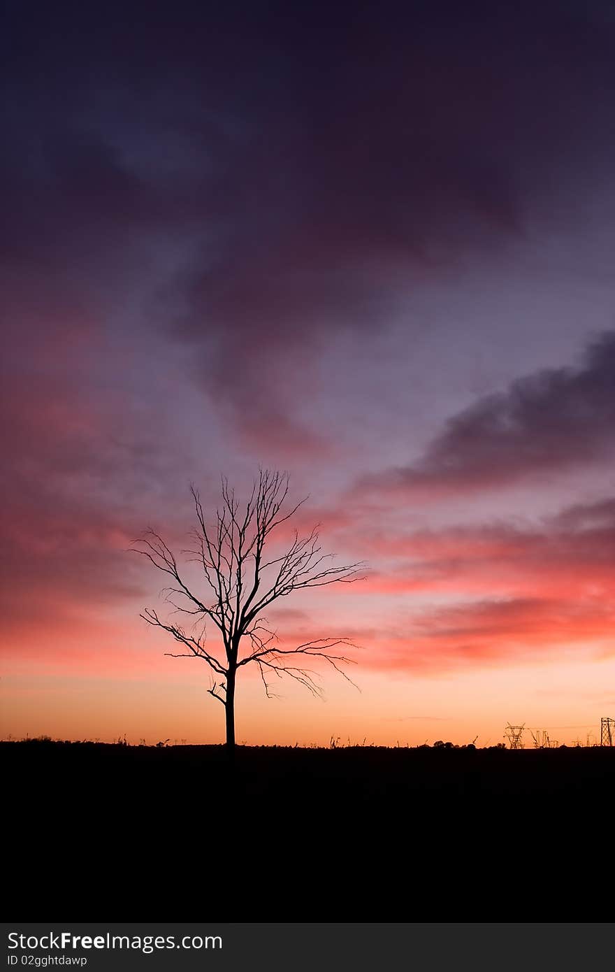 Clouds in orange and purple with dead tree in the Rietvlei Nature reserve. Clouds in orange and purple with dead tree in the Rietvlei Nature reserve