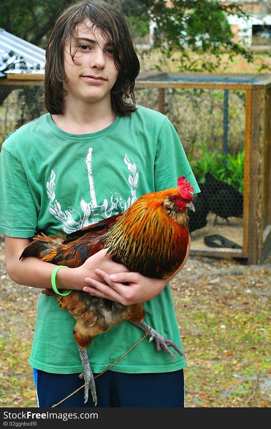 Shot of a young boy holding rooster