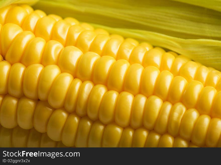 Macro of fresh maize