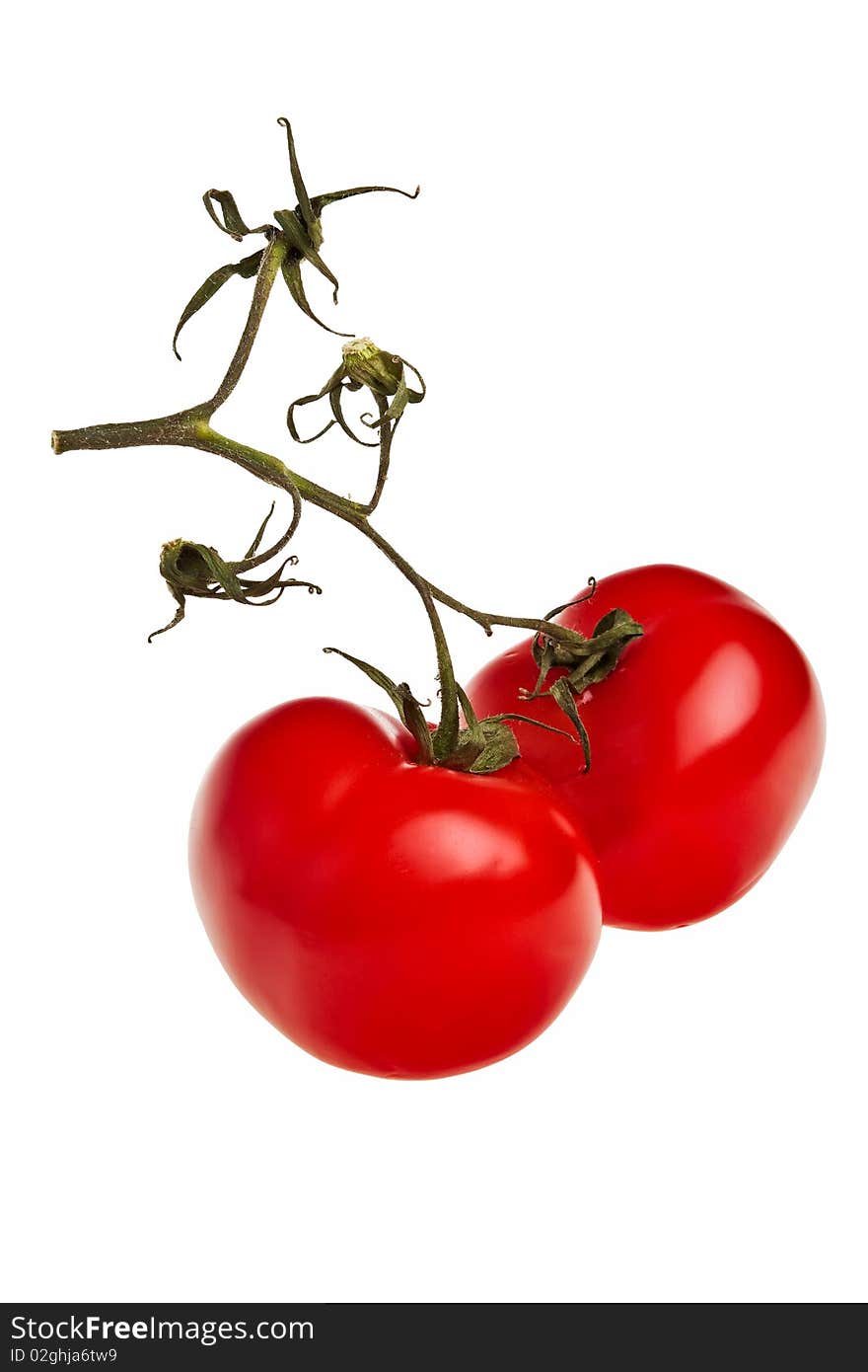 Two Tomatoes On A Twig.