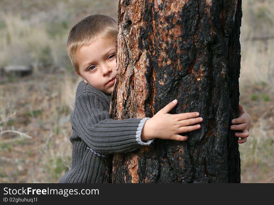 Little boy hugging a tree in the woods. Little boy hugging a tree in the woods