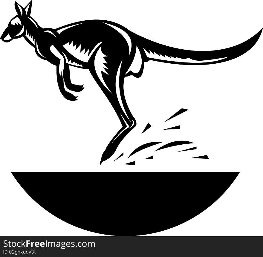 Kangaroo jumping side view