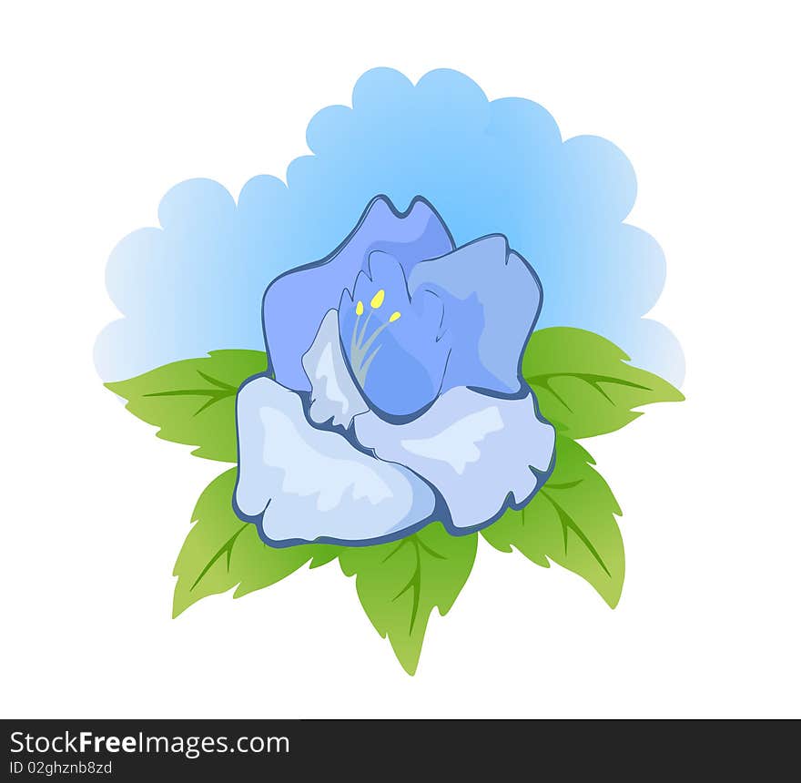 Blue flower with green leaves