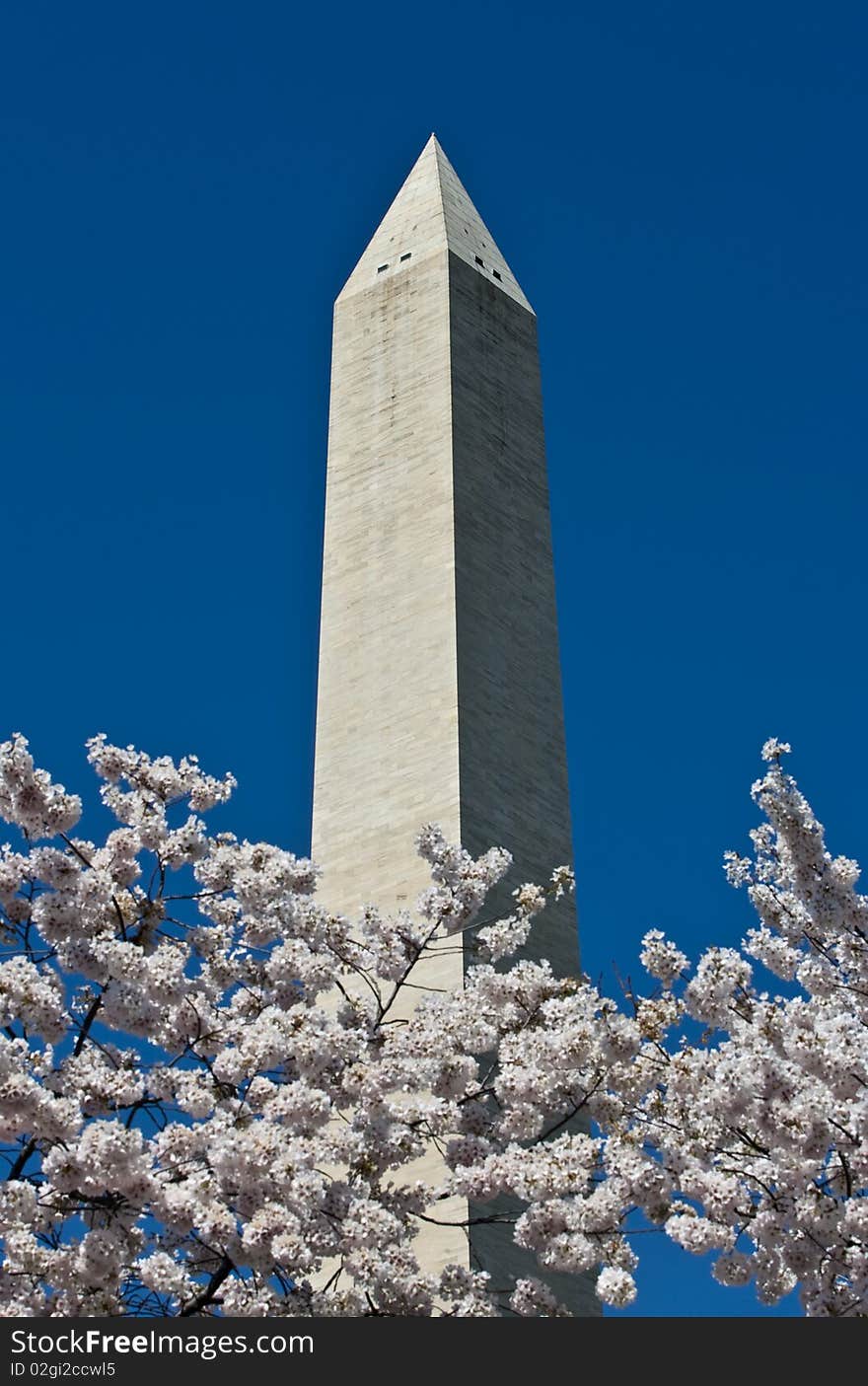 Washington Monument On Sunny Day