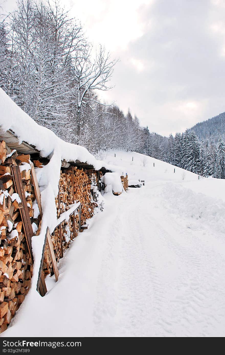 Beautiful winter landscape on a shiny day