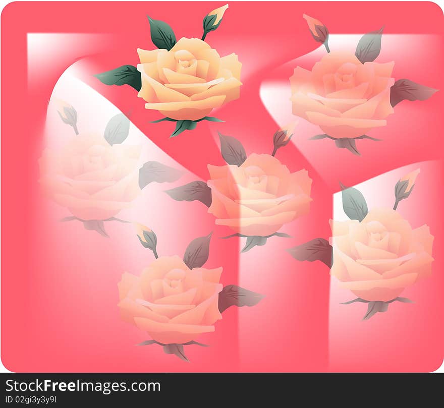 Flowers on a pink background