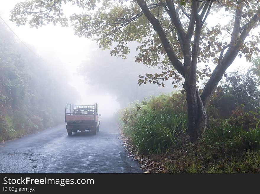 Foggy road