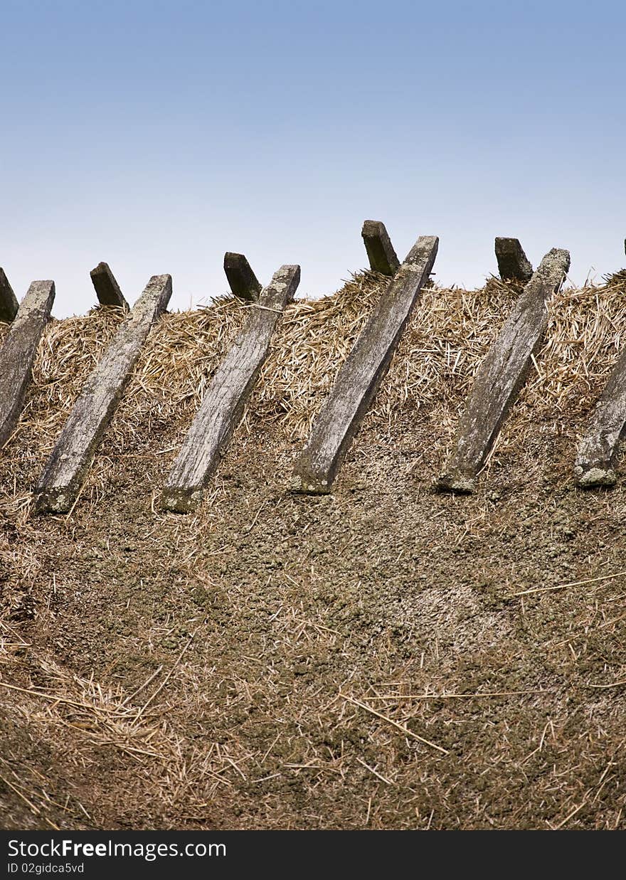 Thatched roof close up *** Local Caption *** Europa.