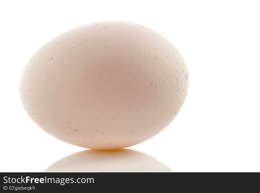 White egg on white background