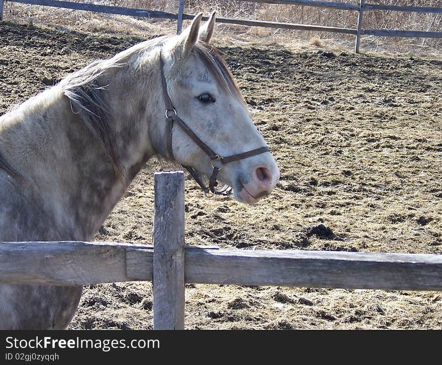 Vermont Horse Farm