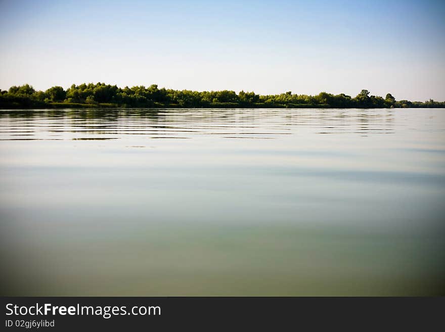 Forest on the lake