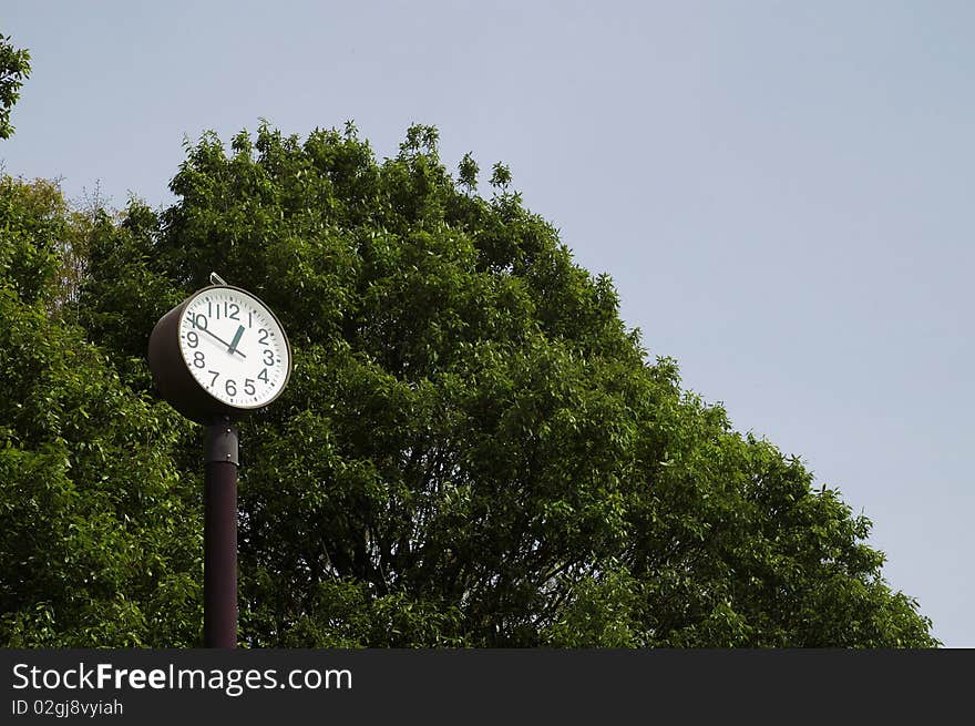 Park Clock