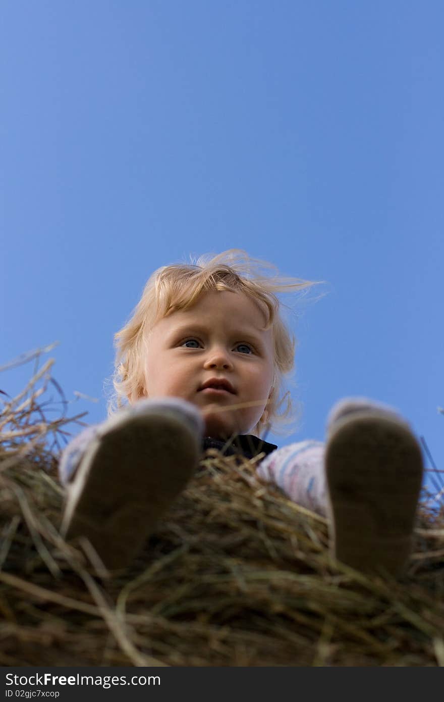 Little Boy Sitting On The Hay