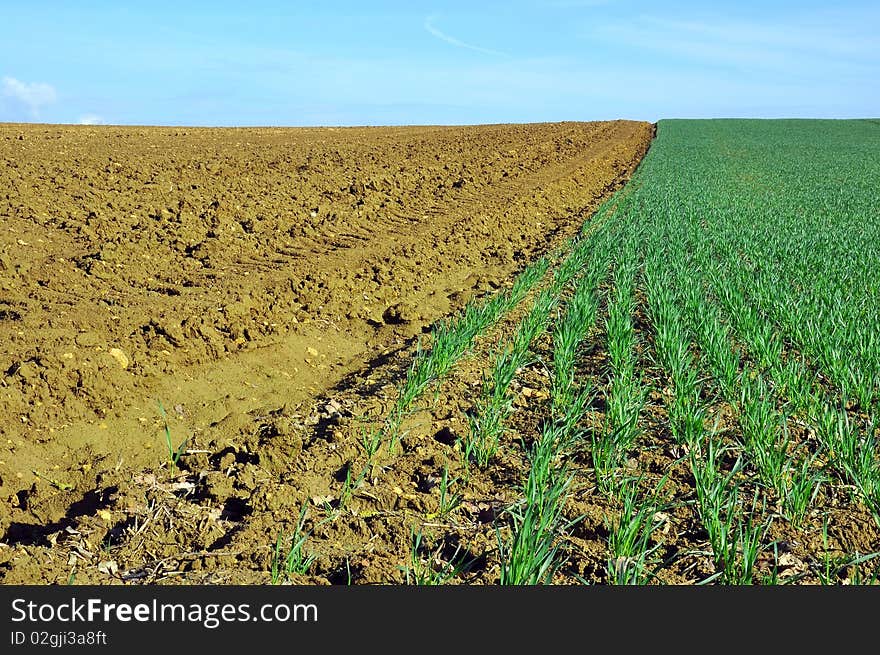 Ploughing And Cultivation