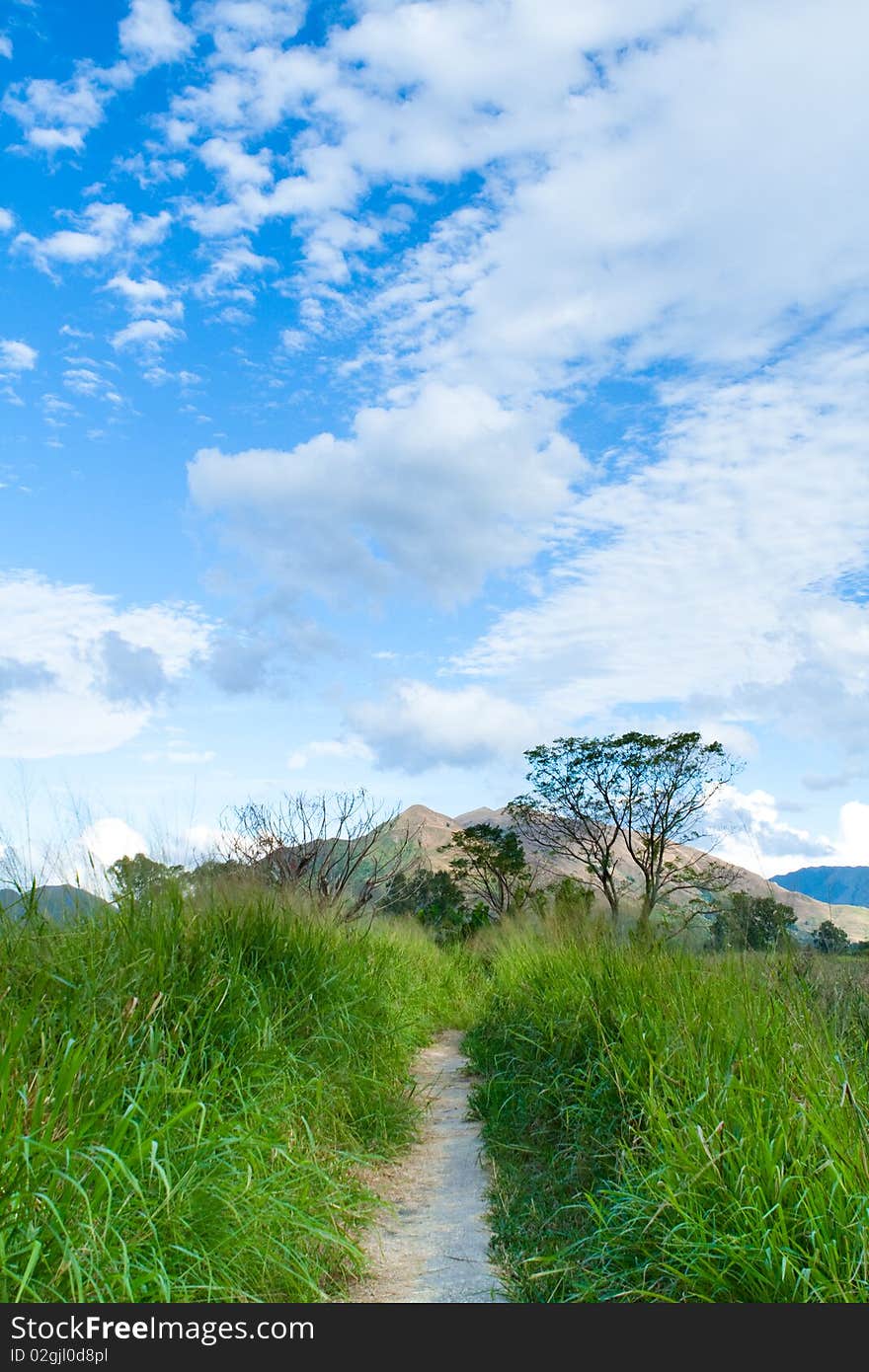 The wetland and countryside of Hong Kong