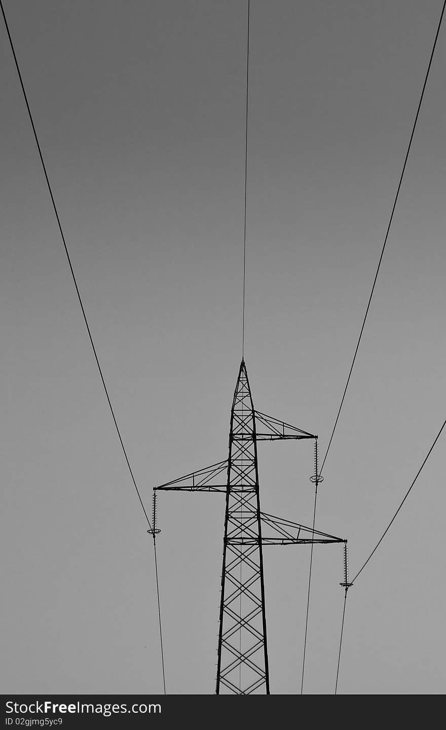 Just a black and white trunk. Just a black and white trunk.