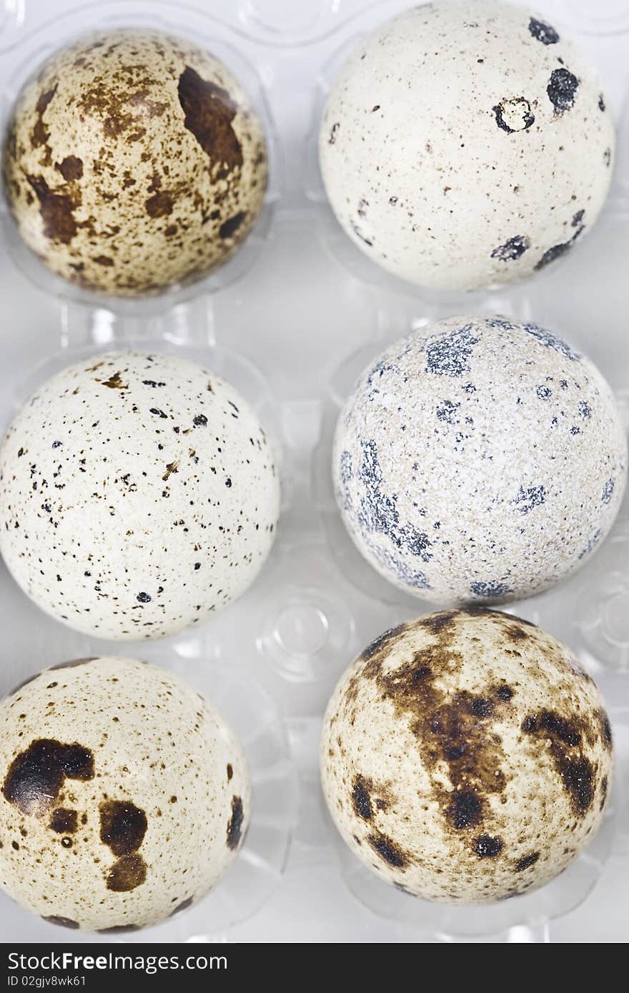 Close-up view of a tray of quails eggs. Close-up view of a tray of quails eggs