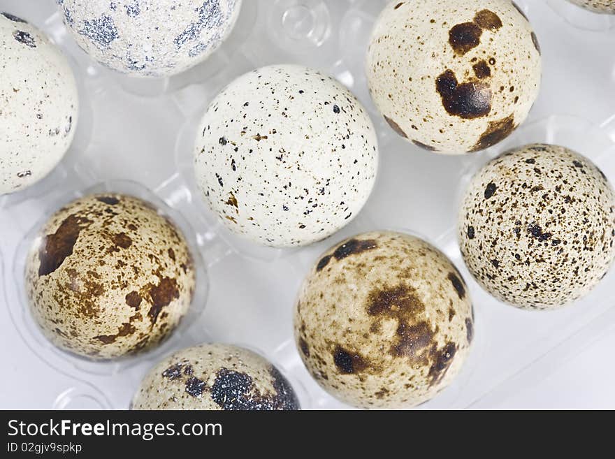 Close-up view of a tray of quails eggs. Close-up view of a tray of quails eggs