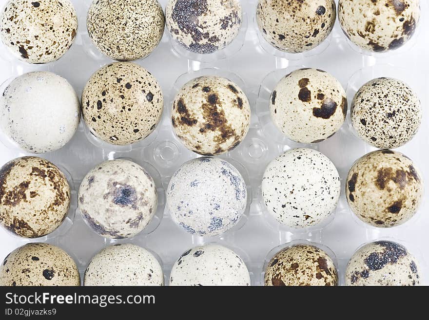 Close-up view of a tray of quails eggs. Close-up view of a tray of quails eggs