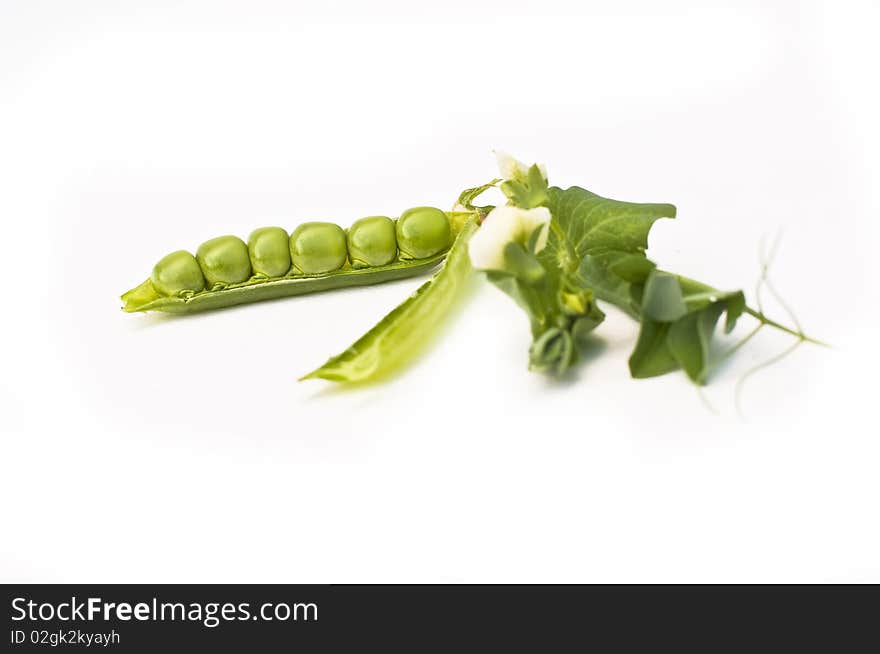 Fresh green pea in the pod with flowers isolated on white