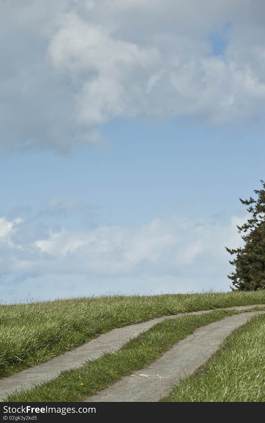 Rural Dirt Road, With Grass And Sky, USA