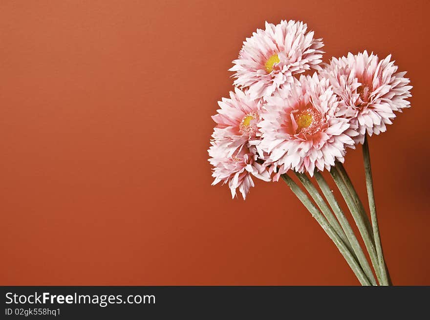 A bouquet of flowers on an orange background