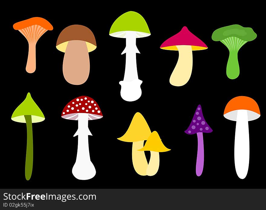 Mushrooms illustration