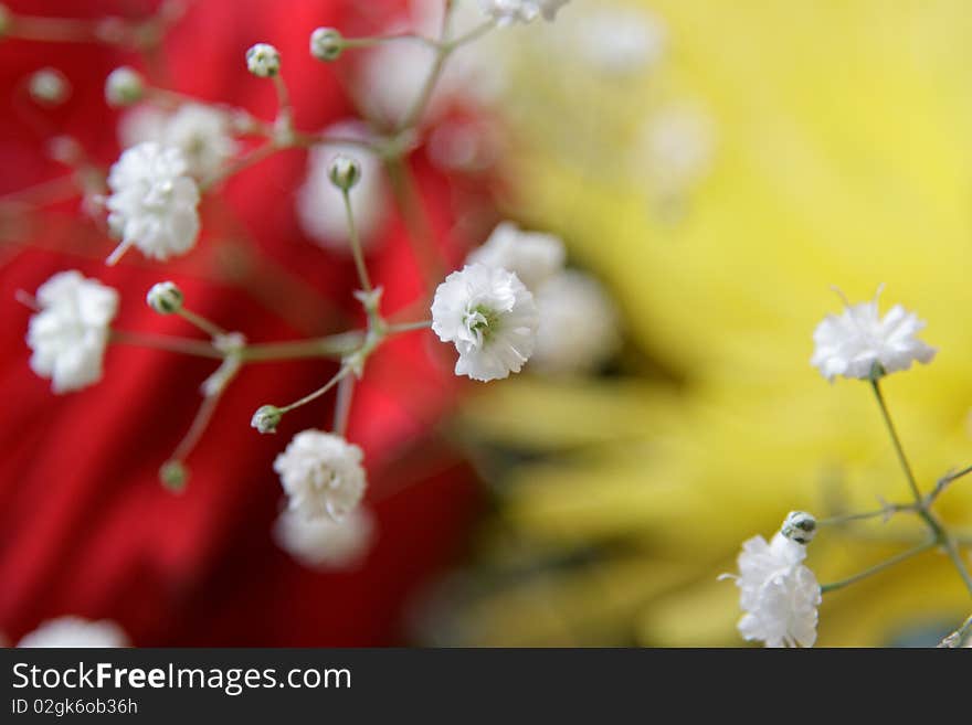 Beautiful bouquet with red roses and yellow asters