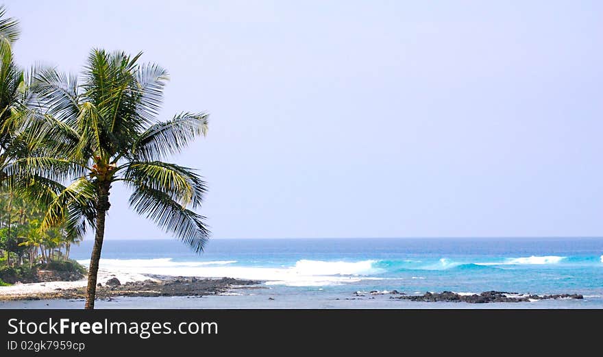 I took this photo in hawaii, and i just loved the view i tried to include that in the picture. with the beautiful crashing waves. I took this photo in hawaii, and i just loved the view i tried to include that in the picture. with the beautiful crashing waves