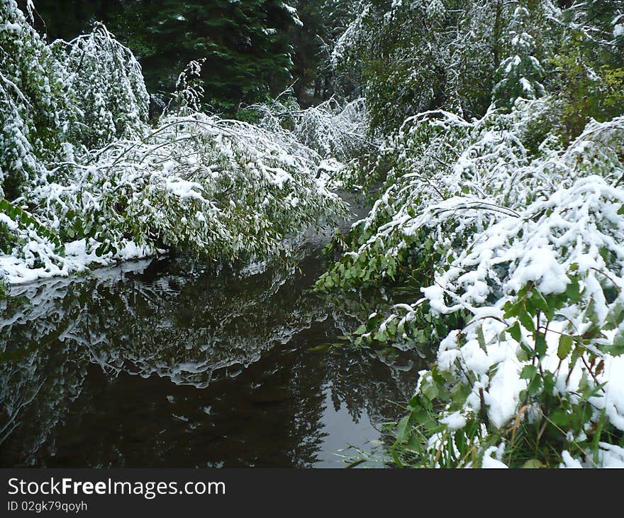 This is where i go camping, and this is the first time it has snowed here in 35 years. This is where i go camping, and this is the first time it has snowed here in 35 years