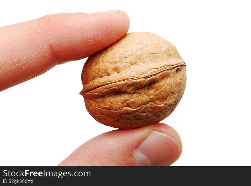 Walnut in fingers on white background