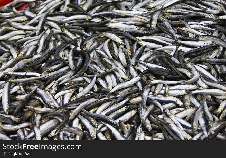 Fresh sprats on the market