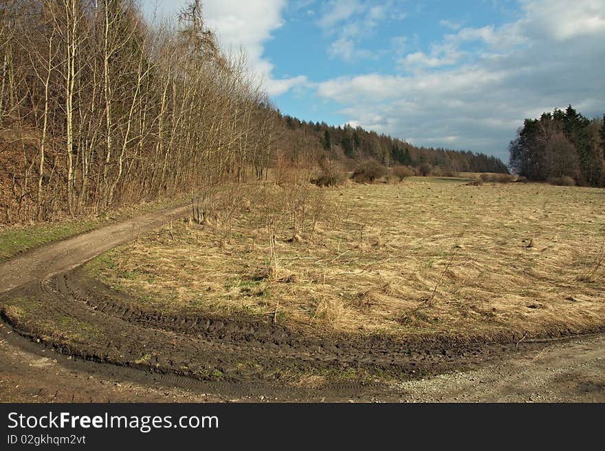 Road curve near forrest