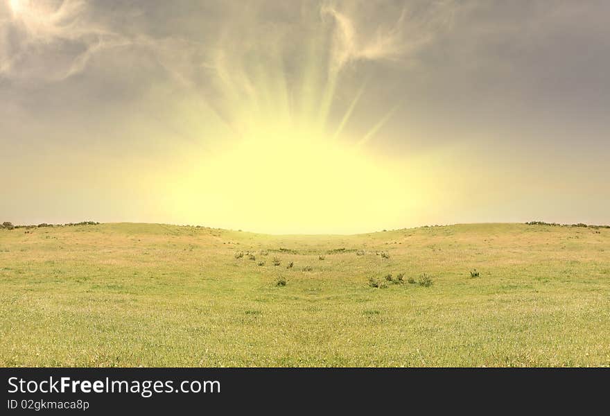 Field landscape with a lonely tree on the right