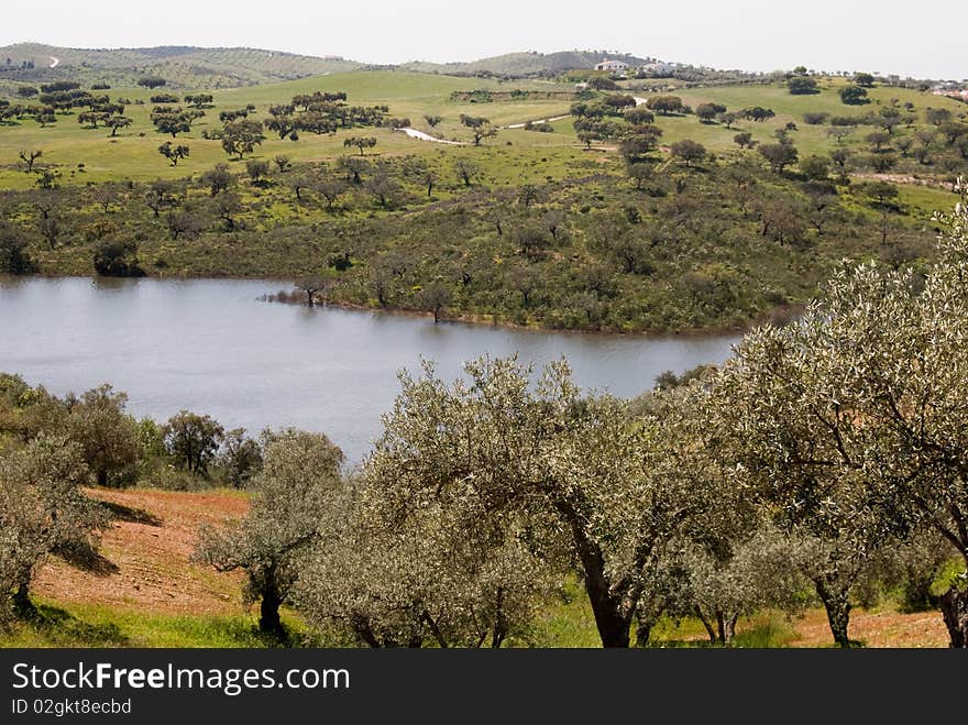 Landscape at a lake Alceva- most bigest in Europe. Landscape at a lake Alceva- most bigest in Europe