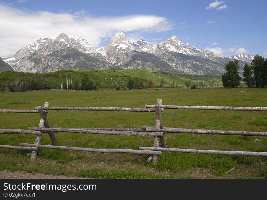 Teton View