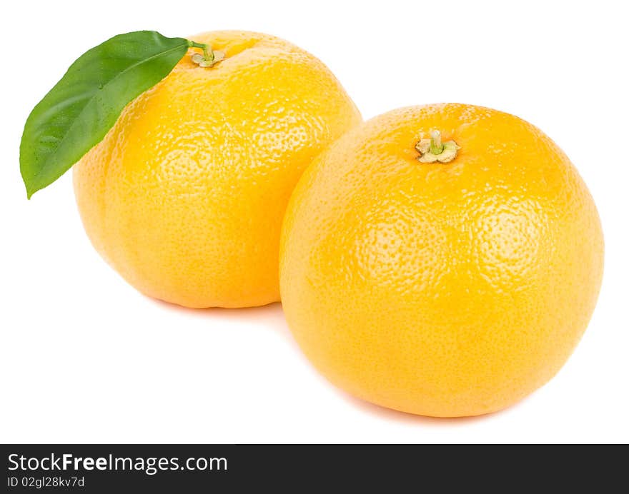 Two ripe grapefruits