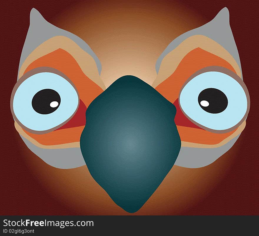 image of bird with the large opened eyes. image of bird with the large opened eyes