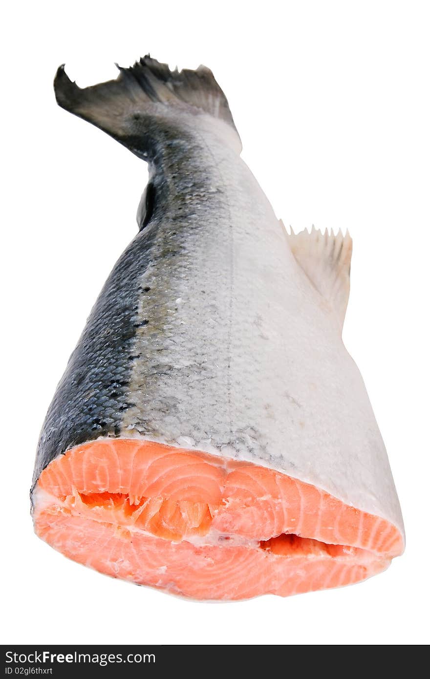 Fresh salmon