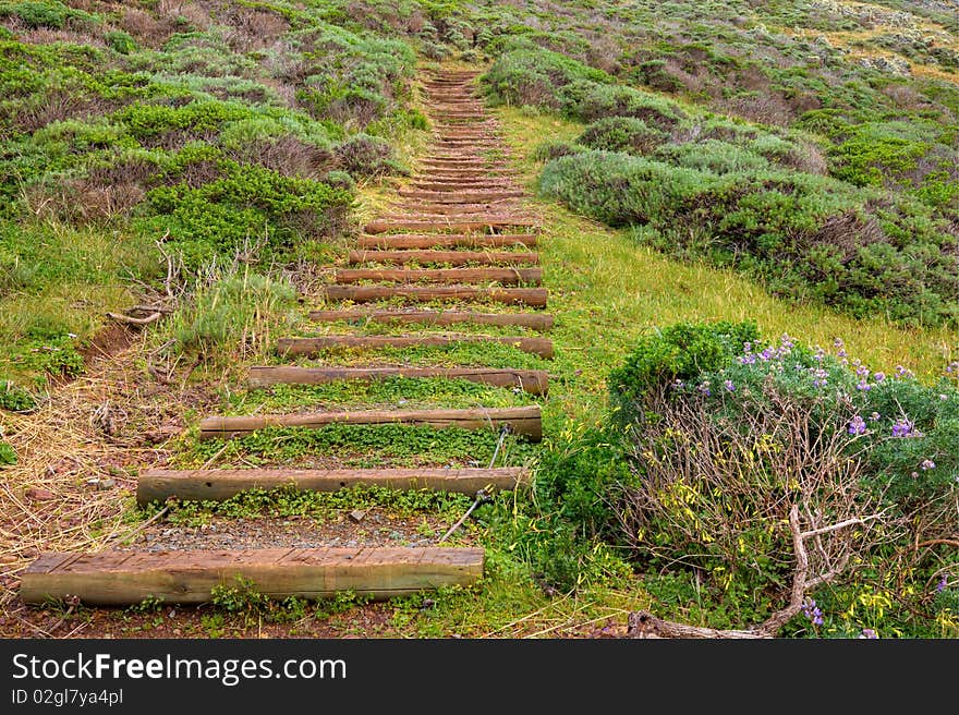 Man made trail steps in Marin Headlands Park, California. Man made trail steps in Marin Headlands Park, California.