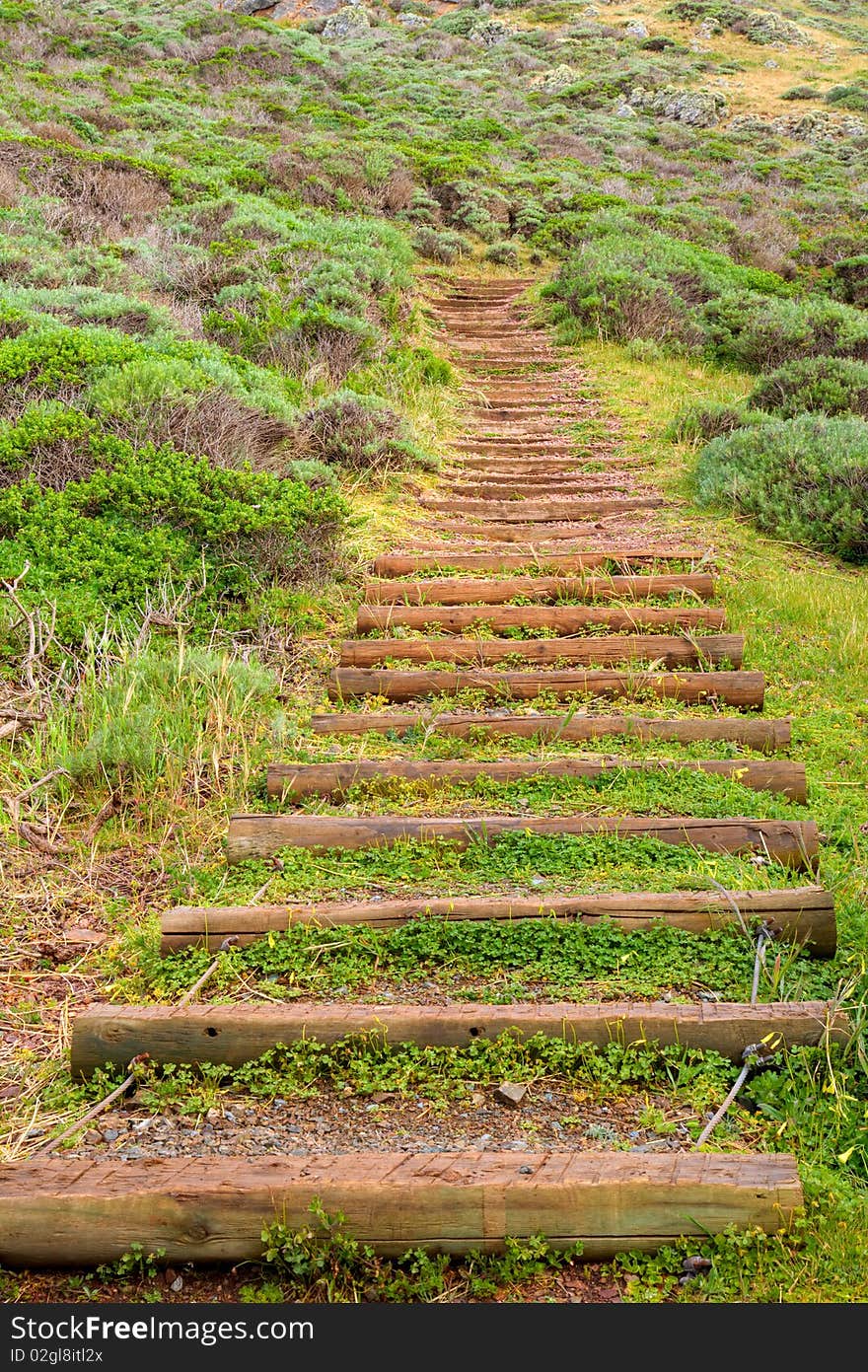 Man made trail steps in Marin Headlands Park, California. Man made trail steps in Marin Headlands Park, California.