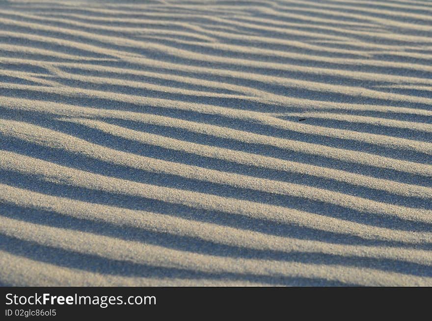 Shadow And Light In Sand