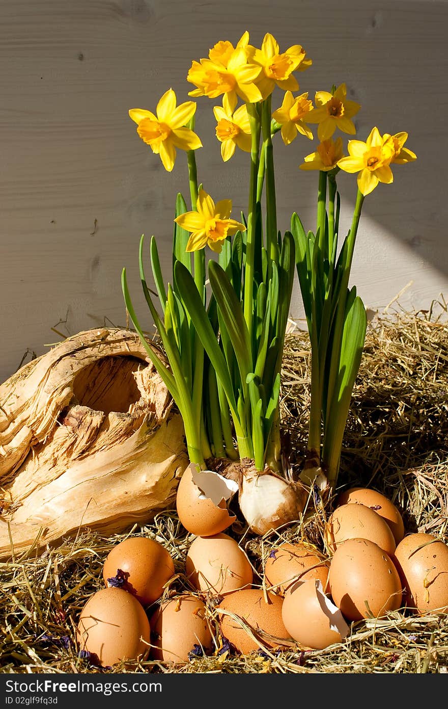 Eggs and Daffodils Easter Display