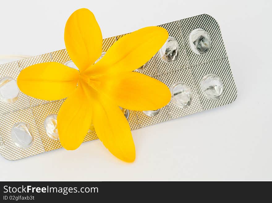 Overhead view of a yellow crocus flower atop a blister pack. Horizontal shot. Overhead view of a yellow crocus flower atop a blister pack. Horizontal shot.