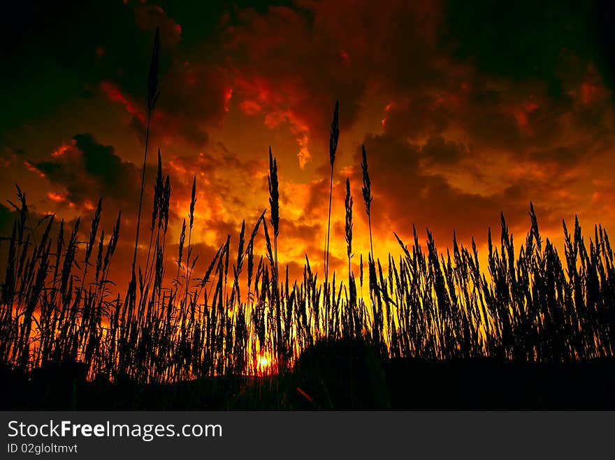 Landscape, detail at sundown with dramatic clouds. Landscape, detail at sundown with dramatic clouds